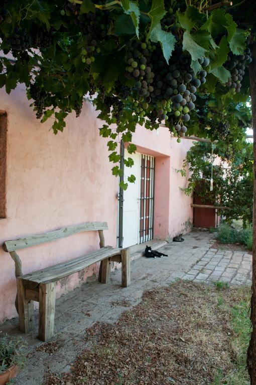 Hosteria Rural Viejo Roble San Rafael  Bagian luar foto